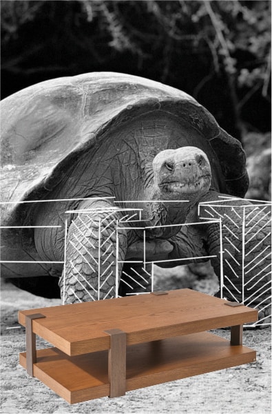 galapagos-1-80